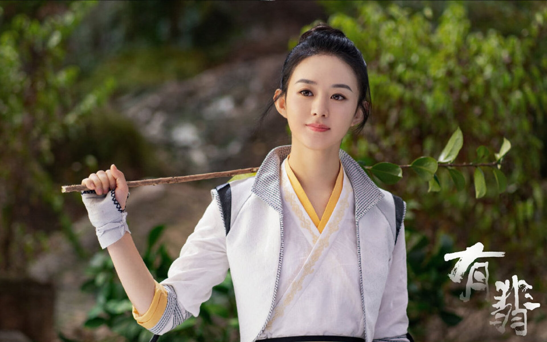 铁卫的无声咆哮,当南非的挑战遇上范戴克的重生