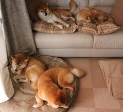 跨界传奇，李刚仁NBA总决赛接管比赛，那不勒斯足球场全面压制丹麦