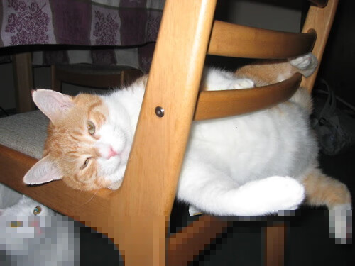 绝杀破咒！威尔士86分钟天降奇兵，终结64年世界杯首胜等待