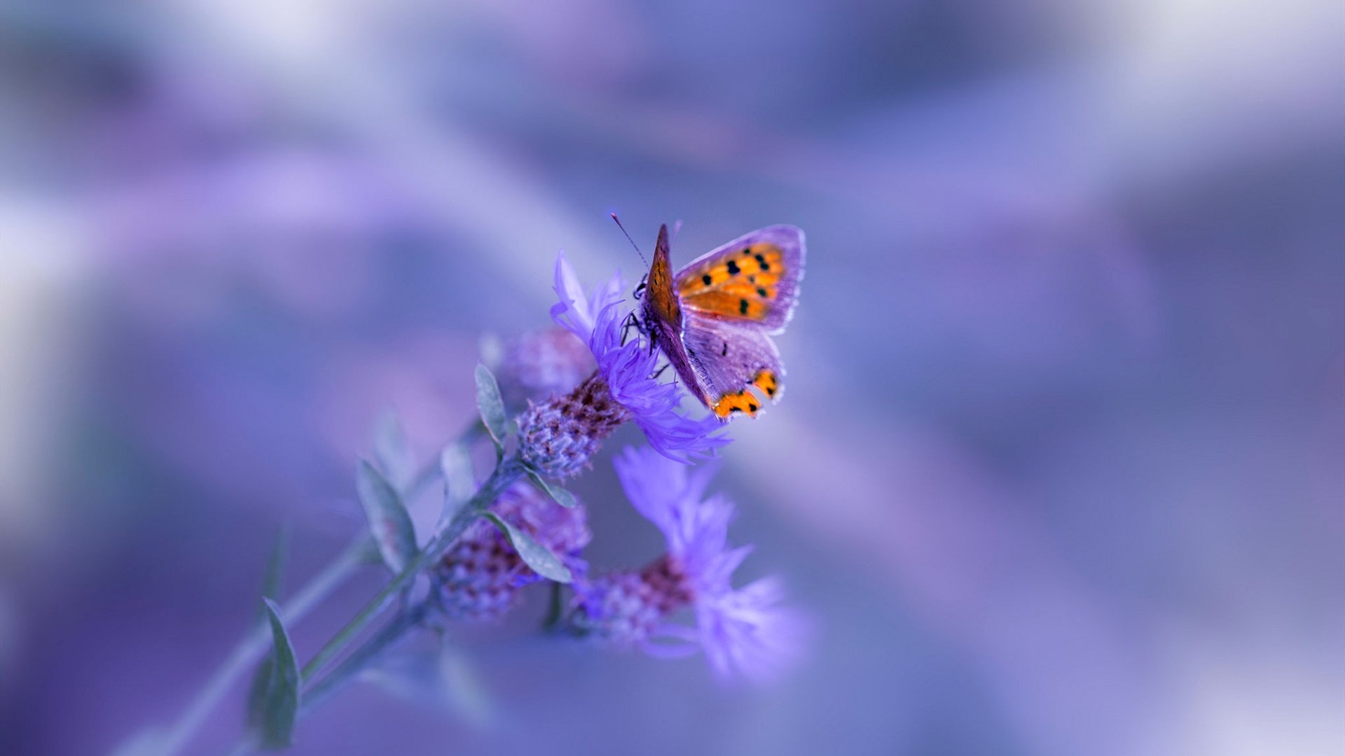 皮克篮球模式，乌拉圭生死战用NBA式英雄球晋级