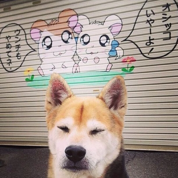 疆厦争锋，马克西再证大场面先生本色