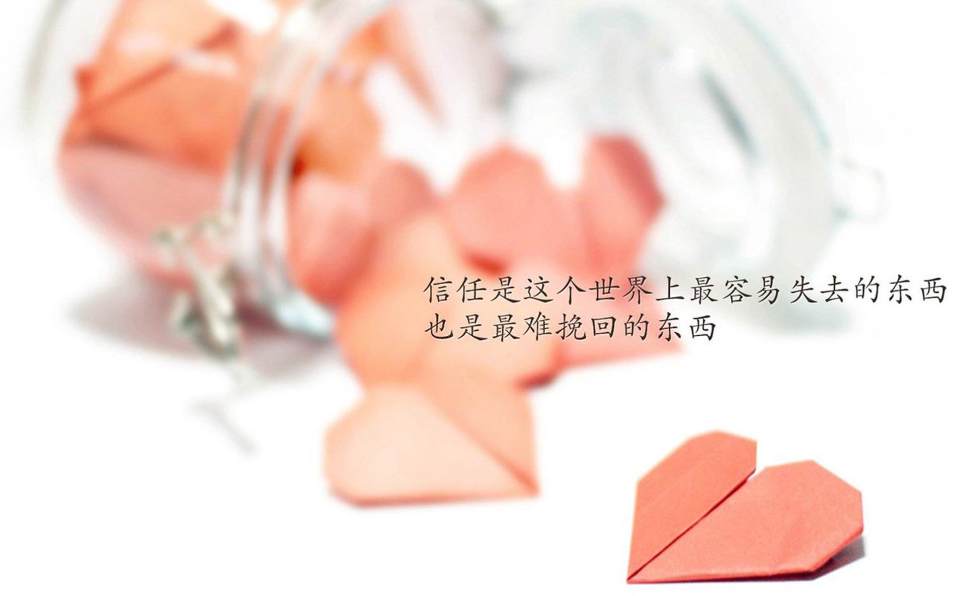 孤星镇日,加勒比海的钢铁与秘银—论委内瑞拉如何以野性强压秩序,布鲁诺一击定乾坤的唯一性瞬间