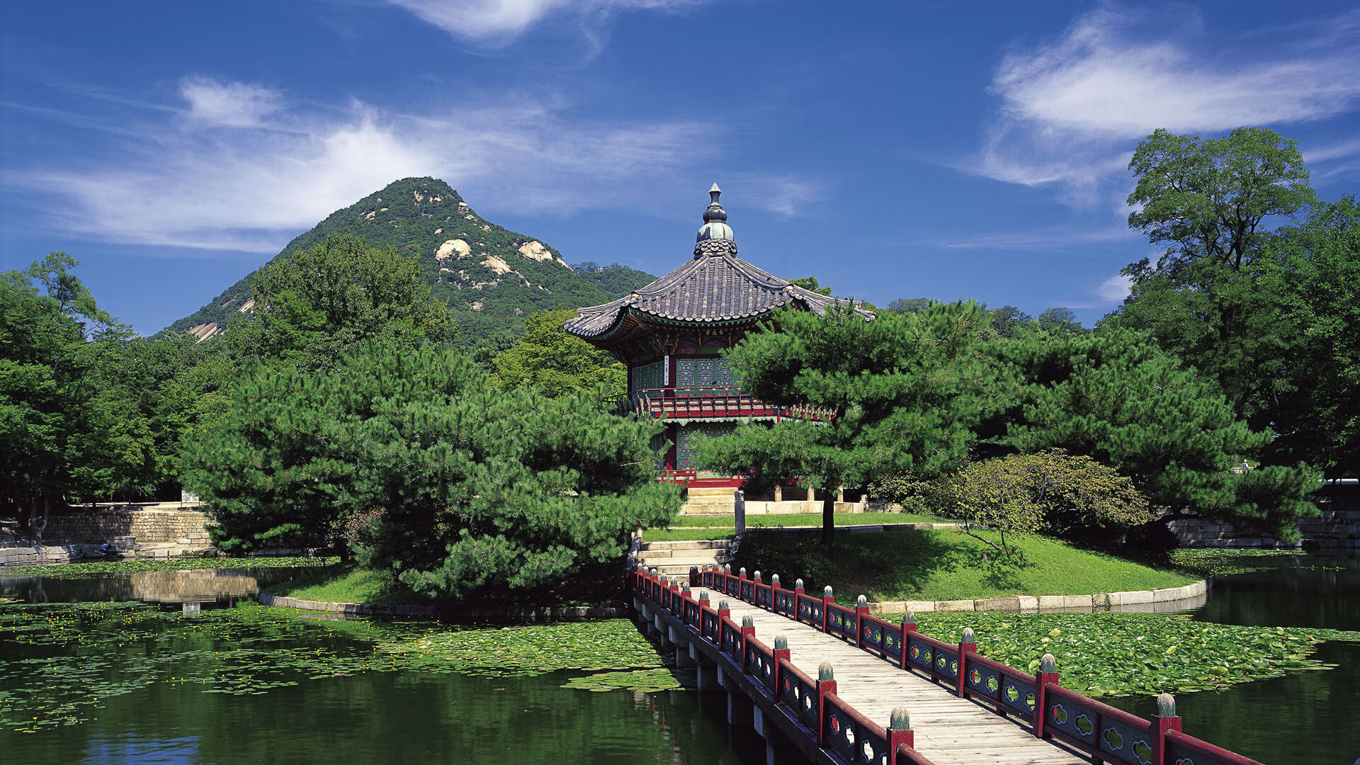 巴格达的闪电,2026世界杯半决赛,布罗佐维奇导演伊拉克绝杀泰国,重塑亚洲足球版图
